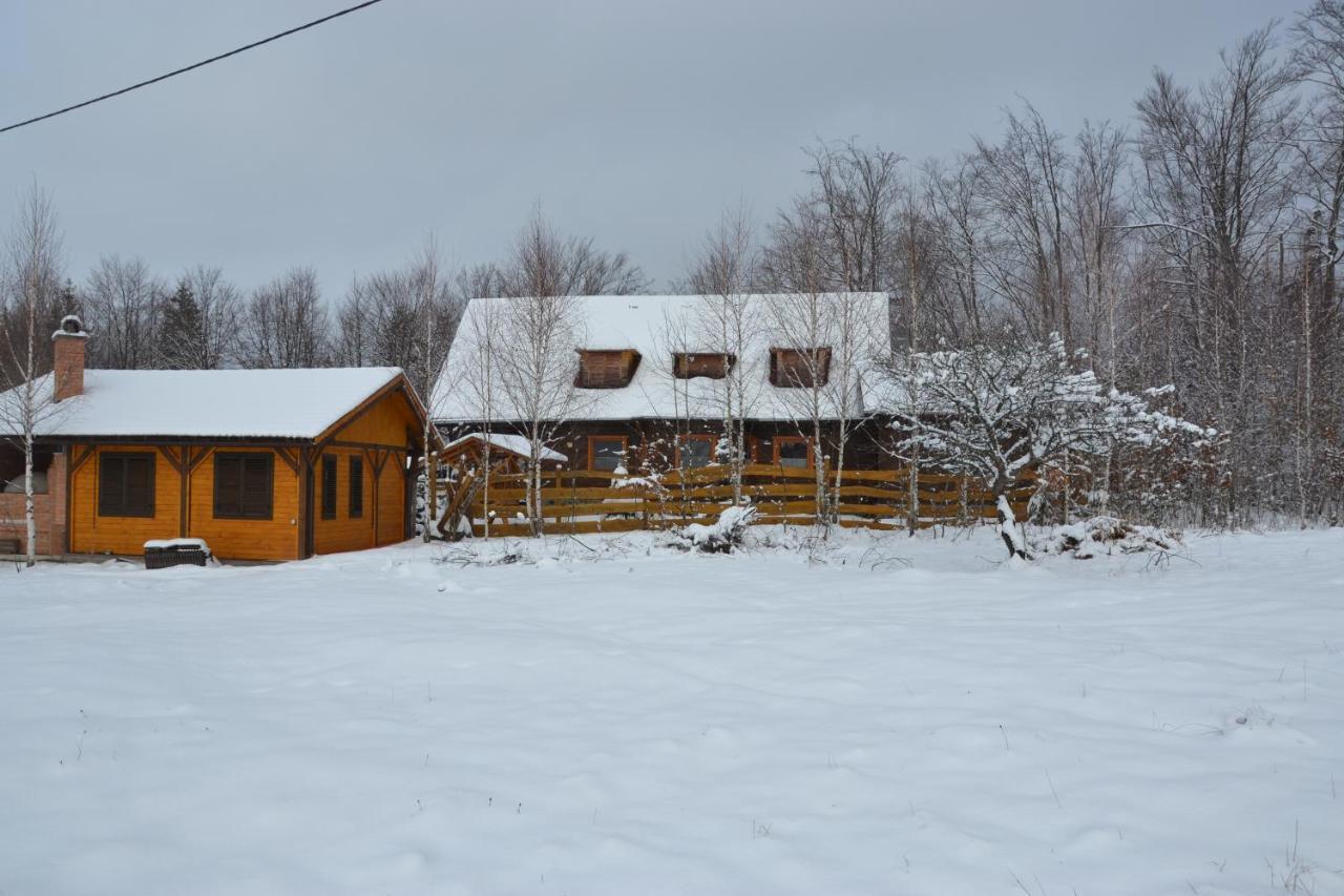 Ivoi Magasbukki Vendeghaz Izvoare (Harghita) Exterior foto