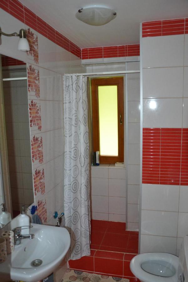 Ivoi Magasbukki Vendeghaz Izvoare (Harghita) Exterior foto